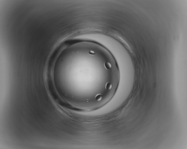 X0000114430677200910231234