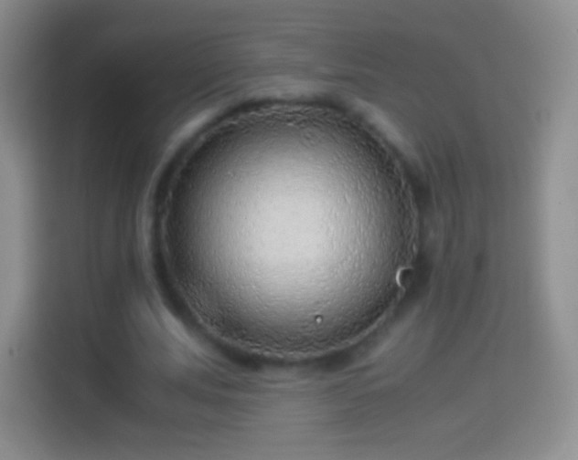 X0000114430679200910231234