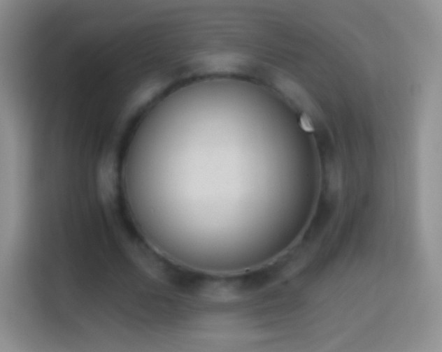 X0000114430680200910231234