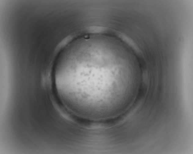 X0000114430682200910231234