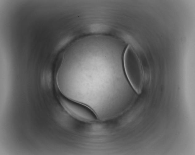 X0000114430684200910231234