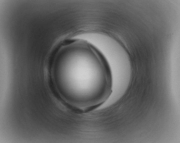X0000114430688200910231234