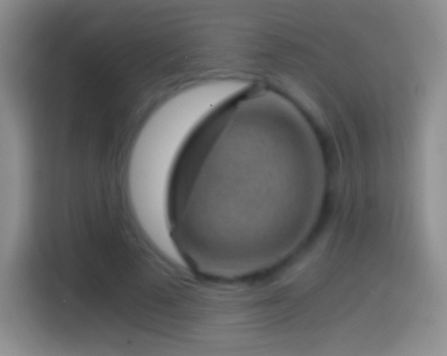 X0000114430689200910231234