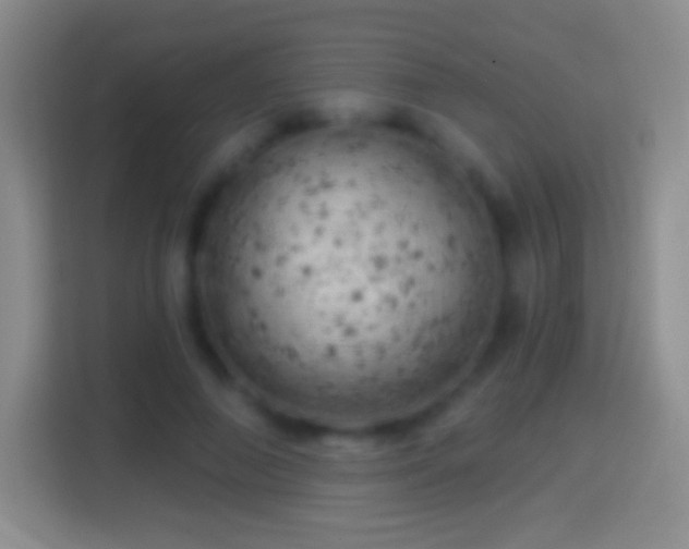 X0000114430690200910231234