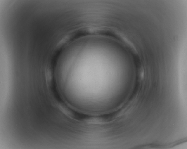 X0000114430691200910231234