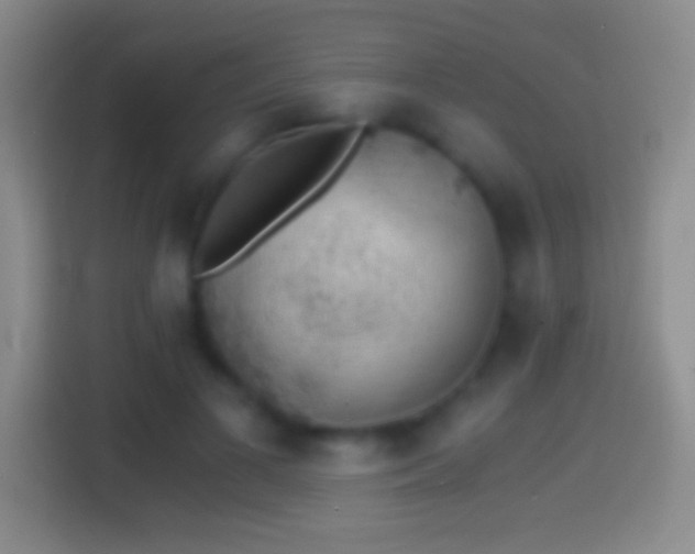 X0000114430693200910231234