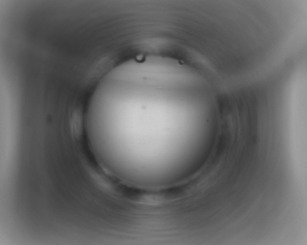 X0000114430694200910231234