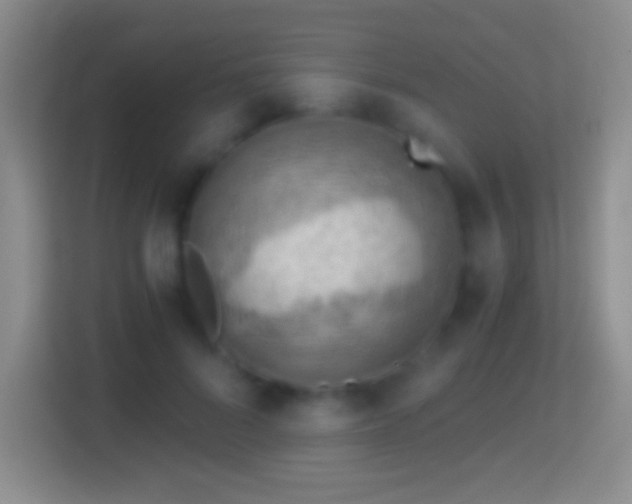 X0000114430696200910231234