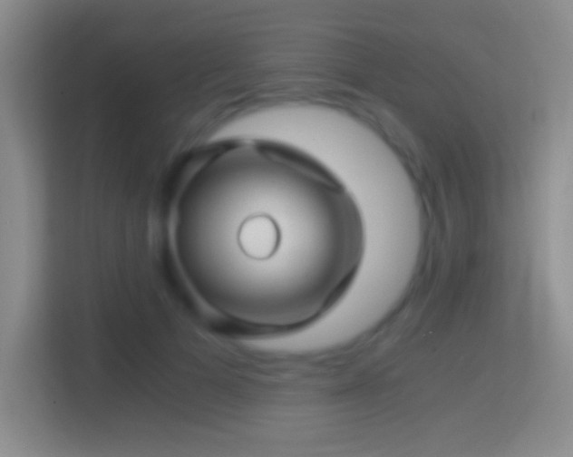 X0000114430697200910231234