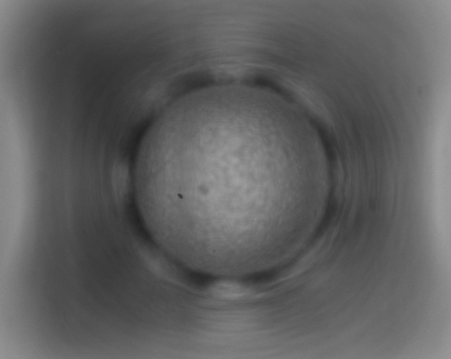 X0000114430699200910231234