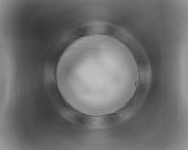 X0000114430701200910231234