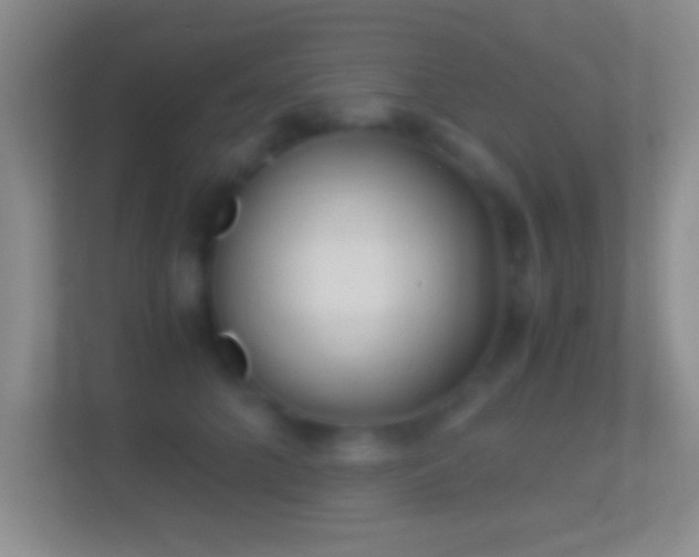 X0000114430704200910231234