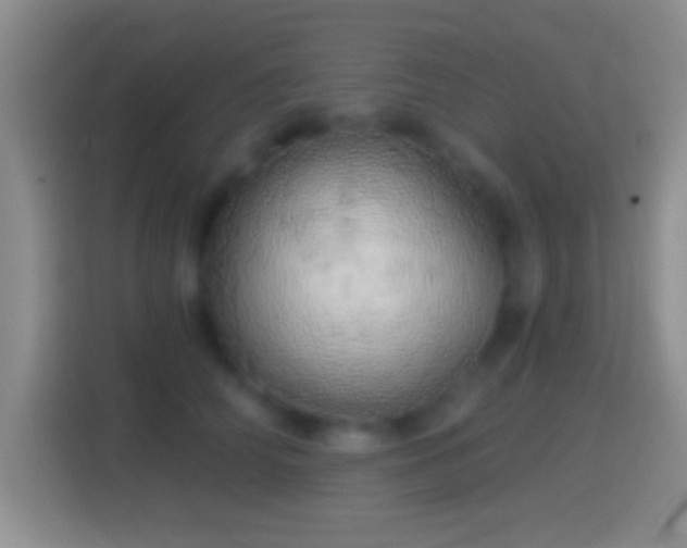 X0000114430706200910231234