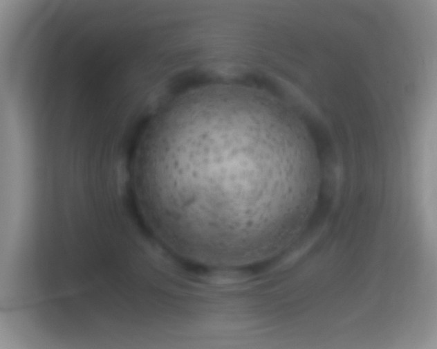X0000114430707200910231234
