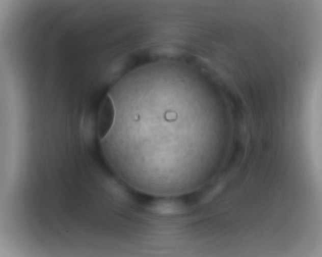 X0000114430708200910231234