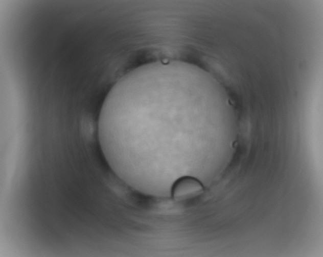 X0000114430709200910231234