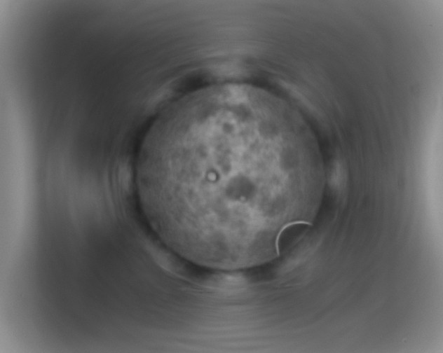 X0000114430715200910231234