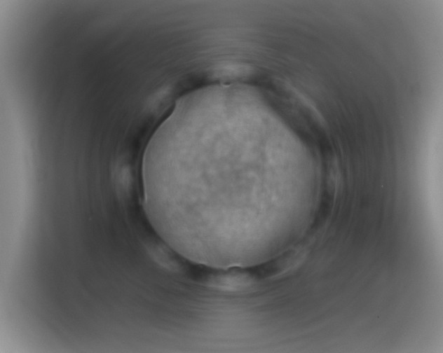 X0000114430716200910231234