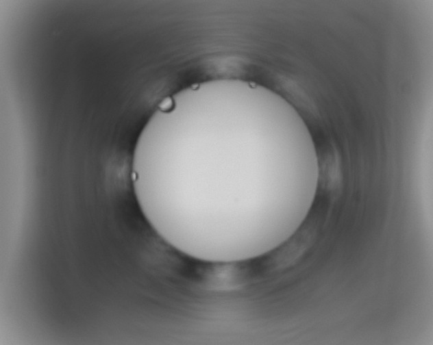 X0000114430717200910231234