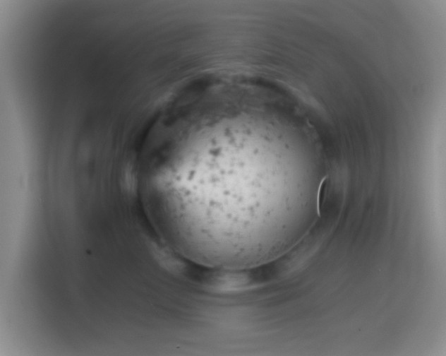 X0000114430719200910231234
