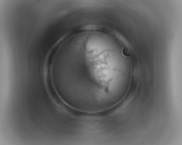 X0000114430722200910231233