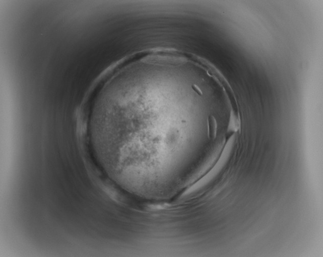 X0000114430723200910231233