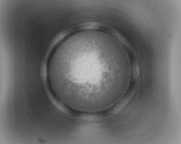 X0000114430726200910231233