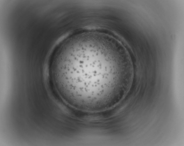 X0000114430727200910231233
