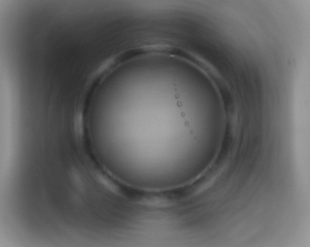 X0000114430729200910231233