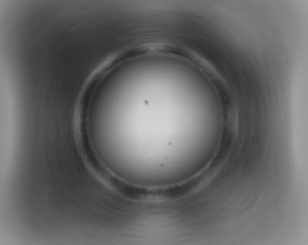X0000114430730200910231233