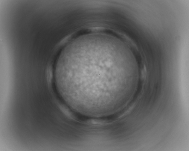 X0000114430733200910231233