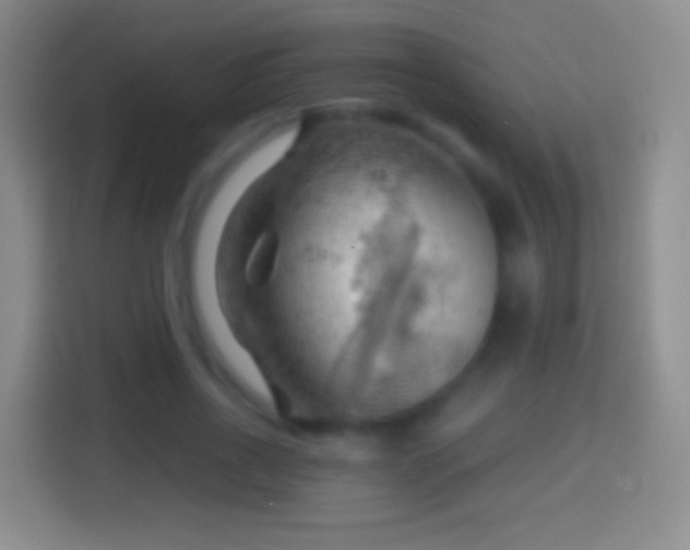 X0000114430734200910231233