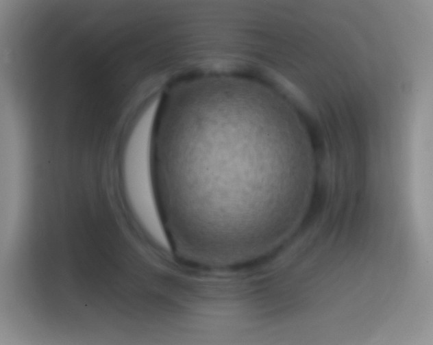 X0000114430738200910231233