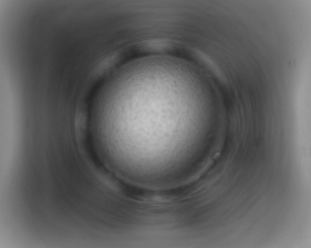 X0000114430739200910231233