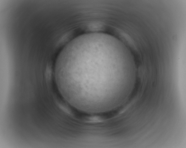 X0000114430741200910231233