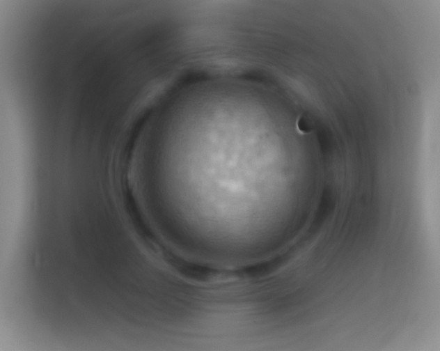 X0000114430742200910231233