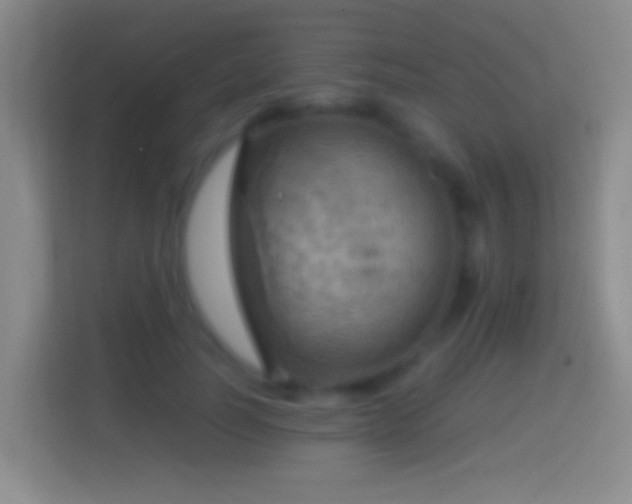 X0000114430746200910231233