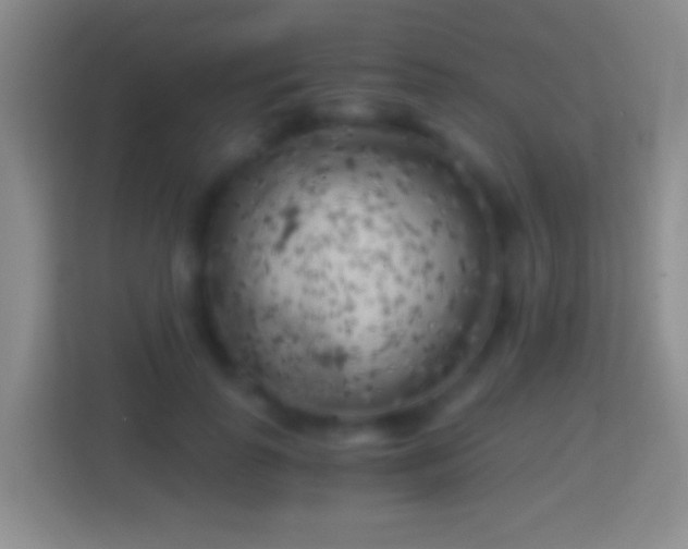 X0000114430747200910231233