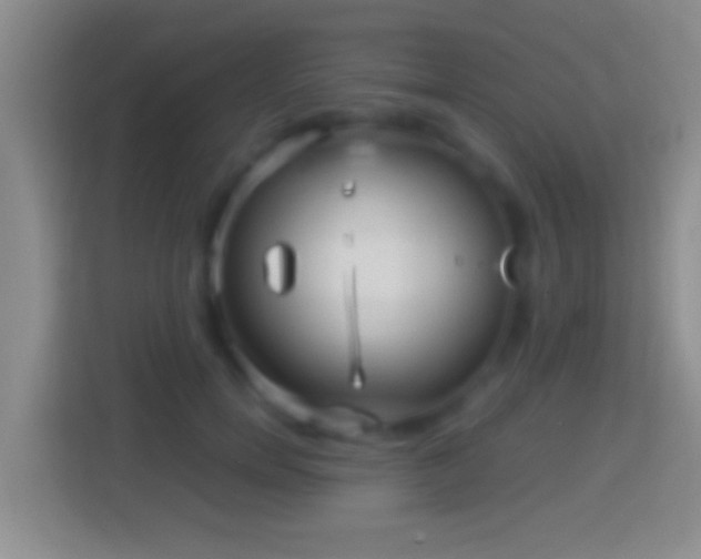 X0000114430750200910231233