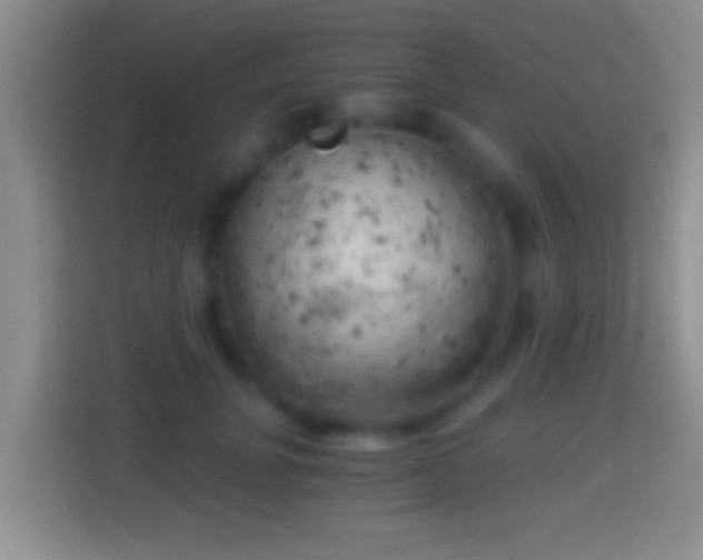 X0000114430751200910231233