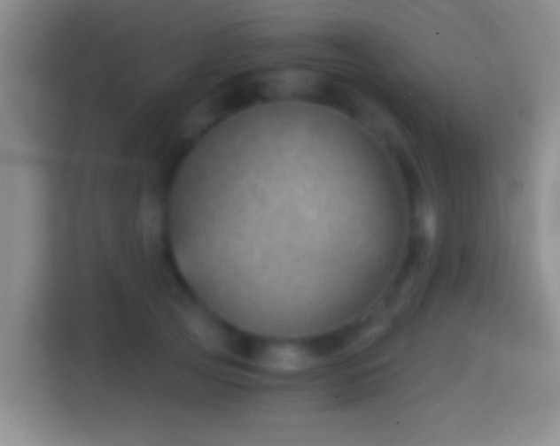 X0000114430753200910231233