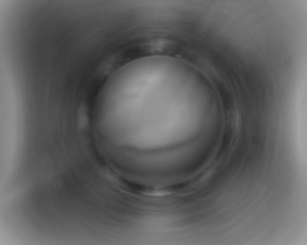 X0000114430754200910231233
