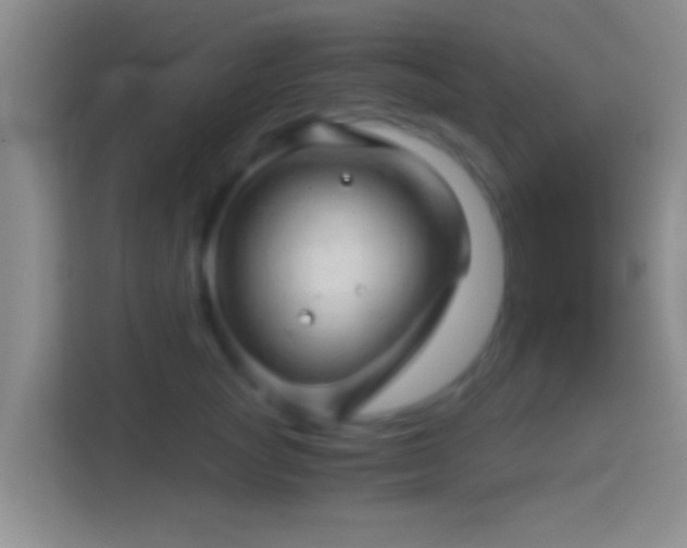 X0000114430757200910231233