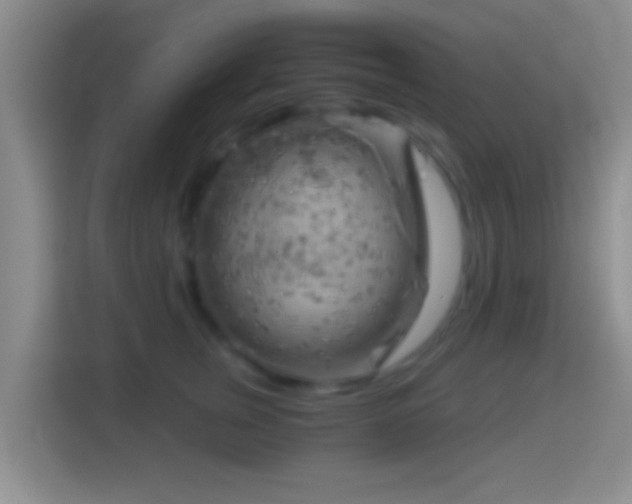 X0000114430759200910231233