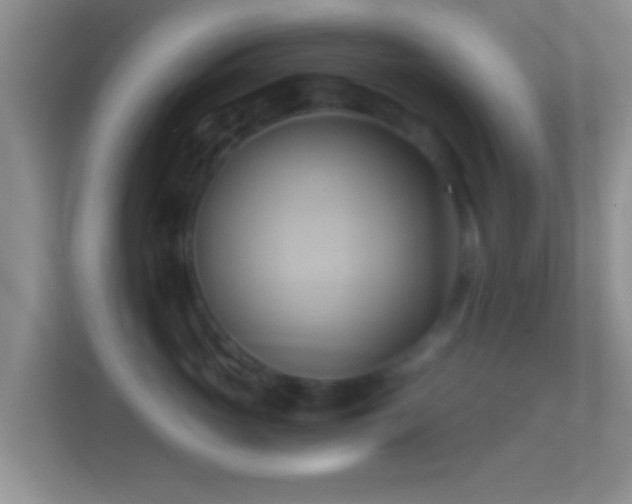X0000114430765200910231233