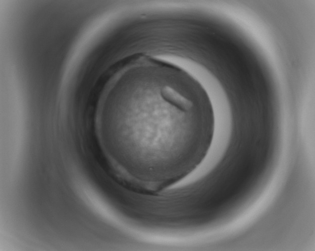 X0000114430766200910231233