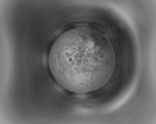 X0000114430767200910231233