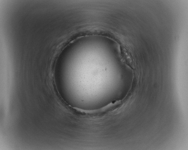 X0000114430769200910231233