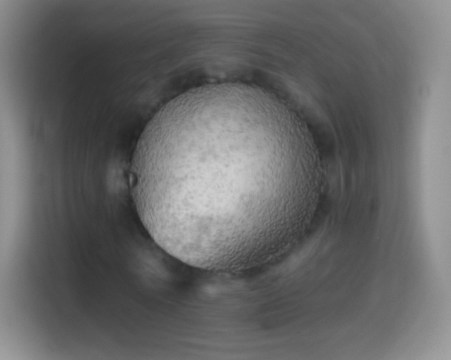 X0000114430770200910231233