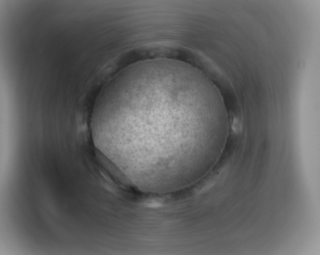 X0000114430771200910231233